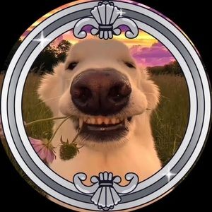 Meet your Posher, Karam